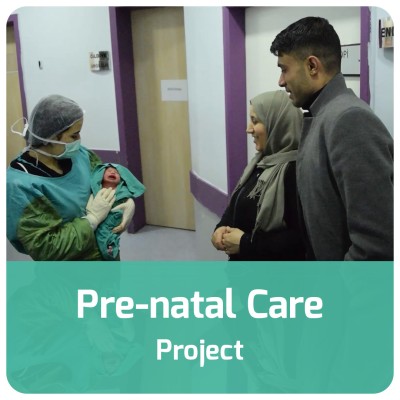 Pre-natal Care Project